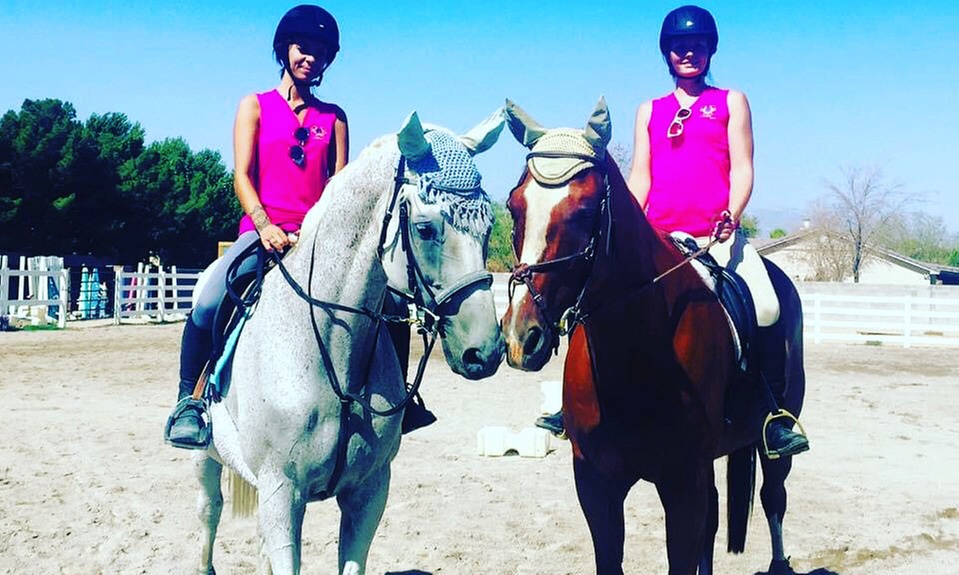 Horseback Riding Lessons: From Reading to Horsemanship