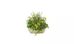 Great Discounts on All Plant Arrangements - No Restrictions!