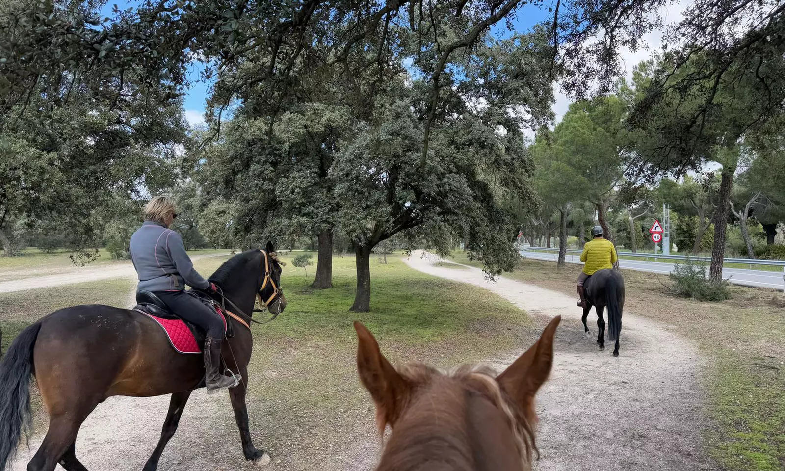Paseo a caballo con todo el material incluido para 1 o 2 personas