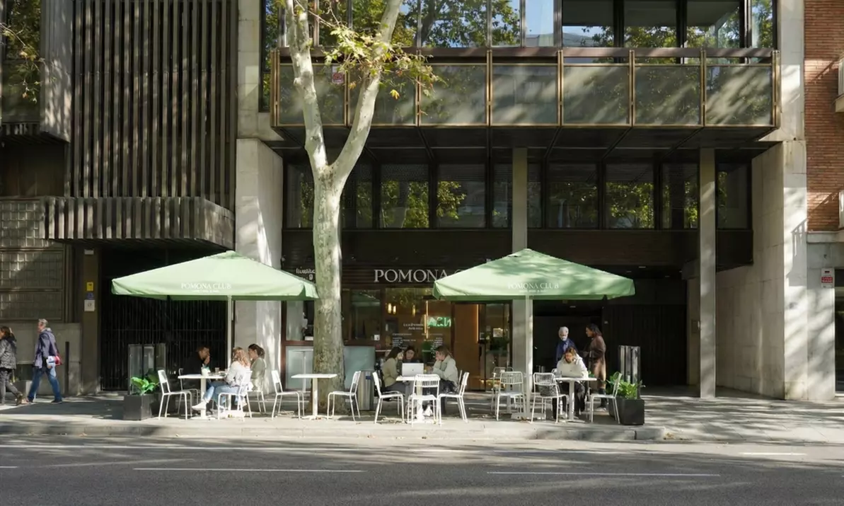 Menú healthy brunch para 2 o 4 con bebidam smoothie, tostada y postre