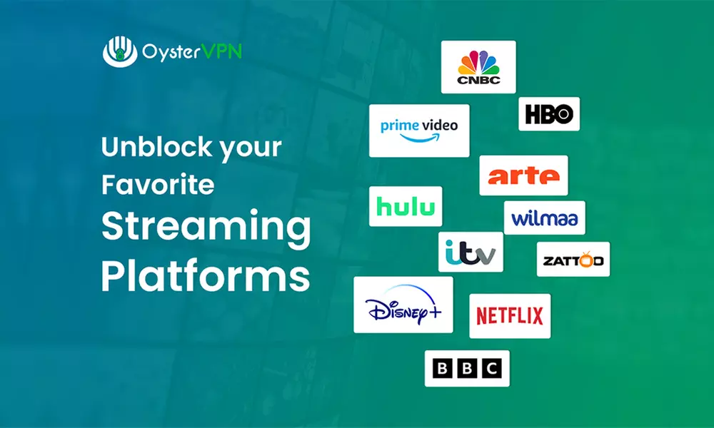 2 - 6 Monate, 1 Jahr oder lebenslanger Zugriff auf OysterVPN