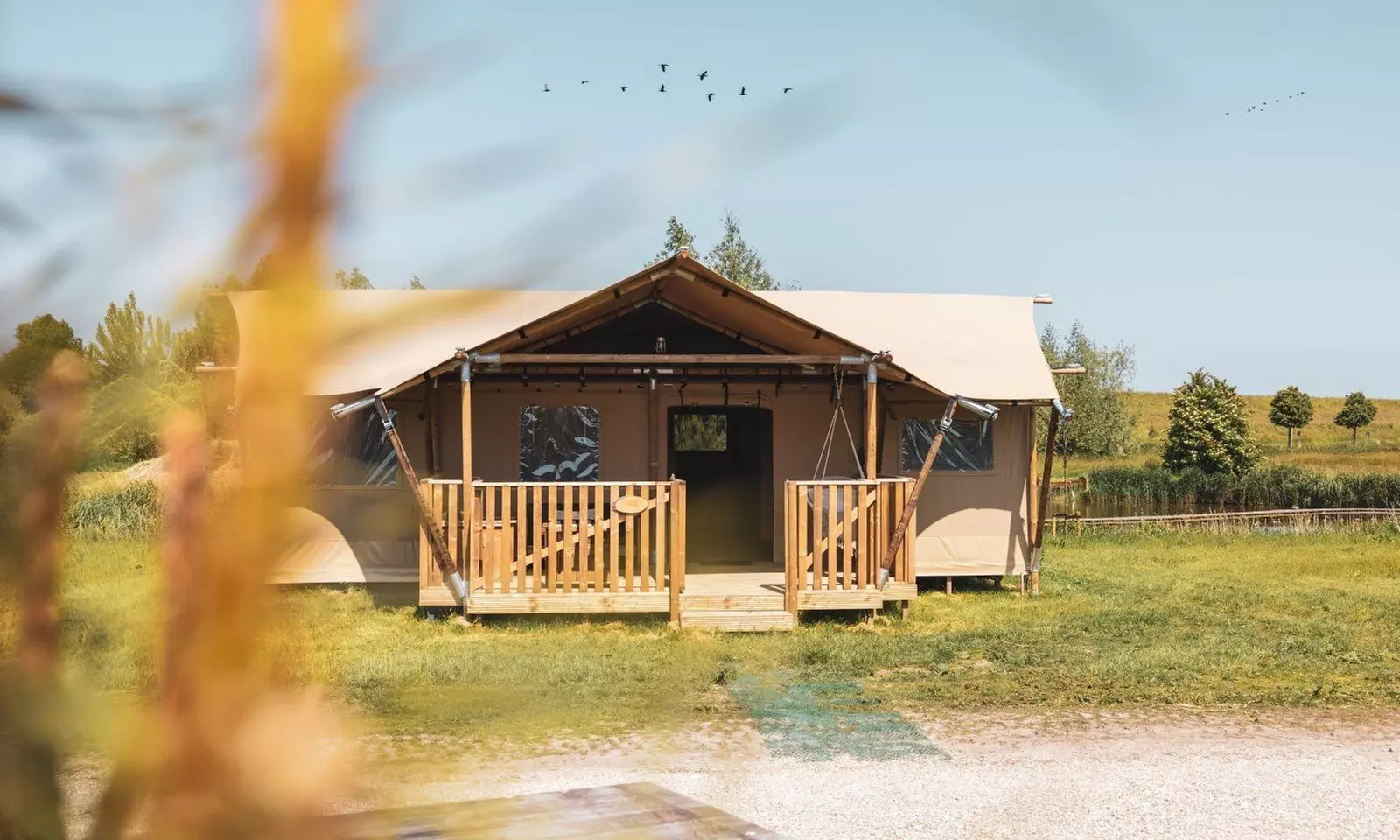 Westfriesland: 3-4 Nächte in der Safari Lodge oder Ferien-Villa