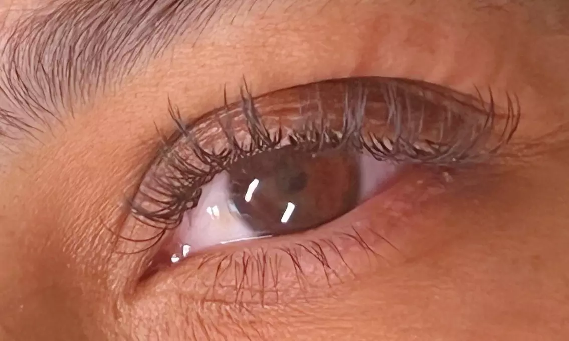 Classic Lash Extensions or Extensions w/ 2D, 3D, 4D, 5D or 6D Volumes