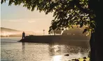 Up to 41% Off Hop-On/Hop-Off Vancouver Trolley Tour