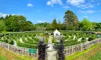 Family Fun at Greenan Maze: Mazes, Animals, and Treasure Hunt