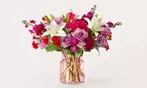 Get Proflowers Fresh Floral Arrangements & Gift Delivery Deals - Save 60%