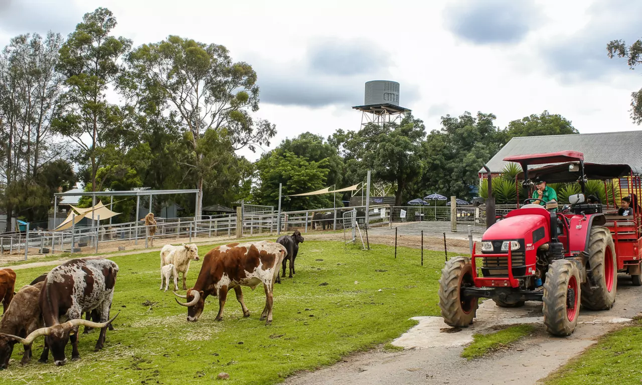 Full-Day Farm Fun: Child, Adult and Family of 5 Entry Options