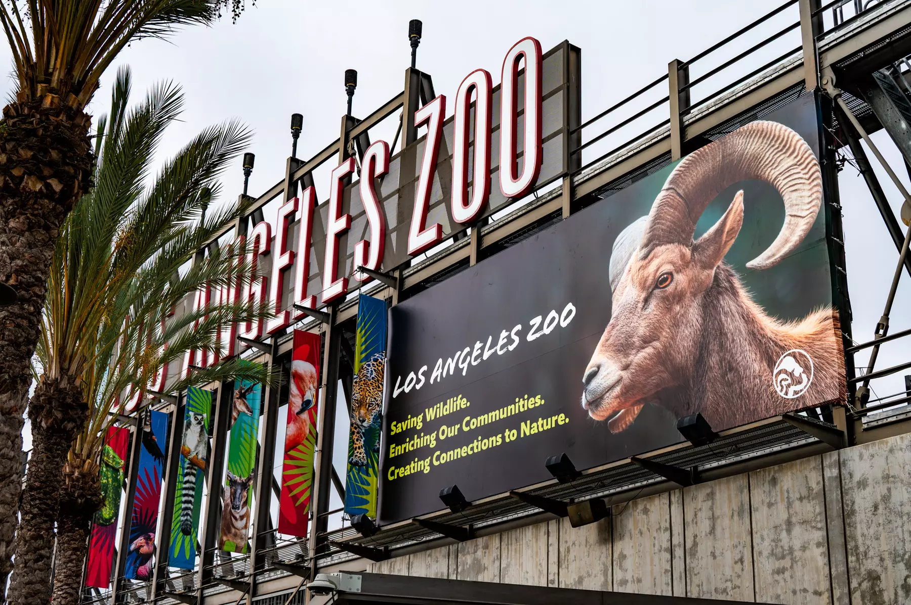 LA Zoo Admission - Explore Incredible Wildlife at the Los Angeles Zoo