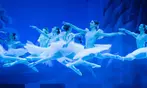 Ticket für „Der Nussknacker“ vom Grand Classic Ballet in 15 Städten