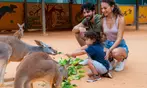 San Antonio Zoo Discount Tickets & Savings!