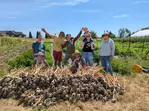 Up to 25% Admission to Washington State Garlic Fest