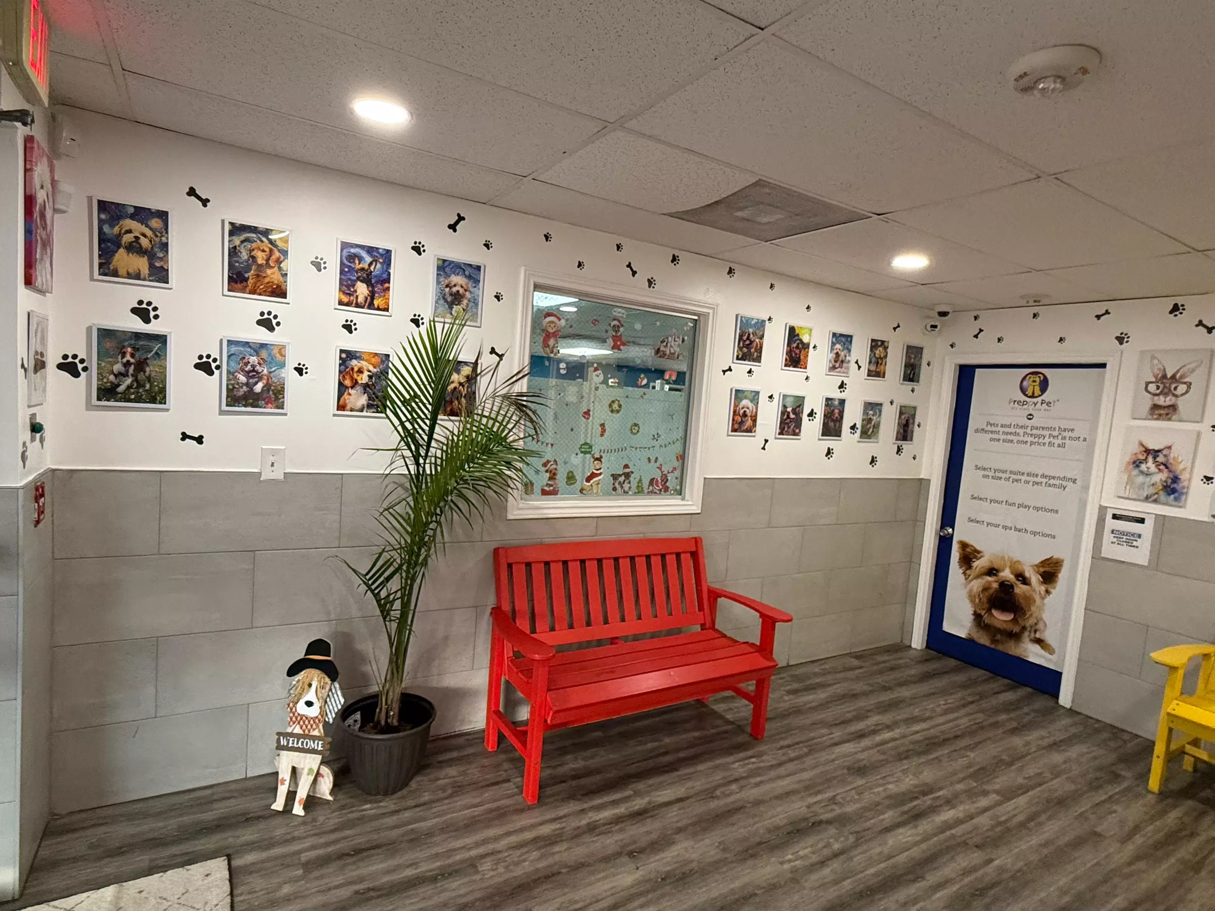 Full Service or Doodle/Poodle Full Service Grooming Package for Dogs!