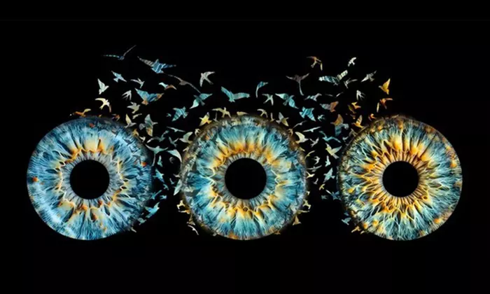 Œuvre d’art personnalisée de l’iris pour couples, familles ou animaux