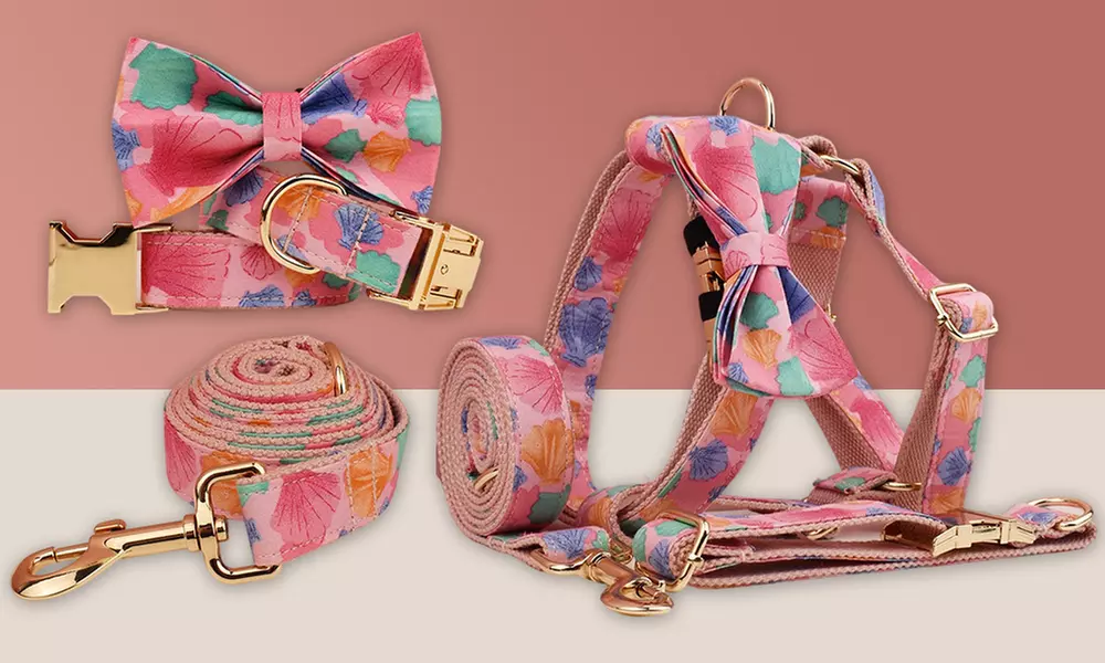 Personalisierbares Haustier-Halsband mit integriertem Namensschild