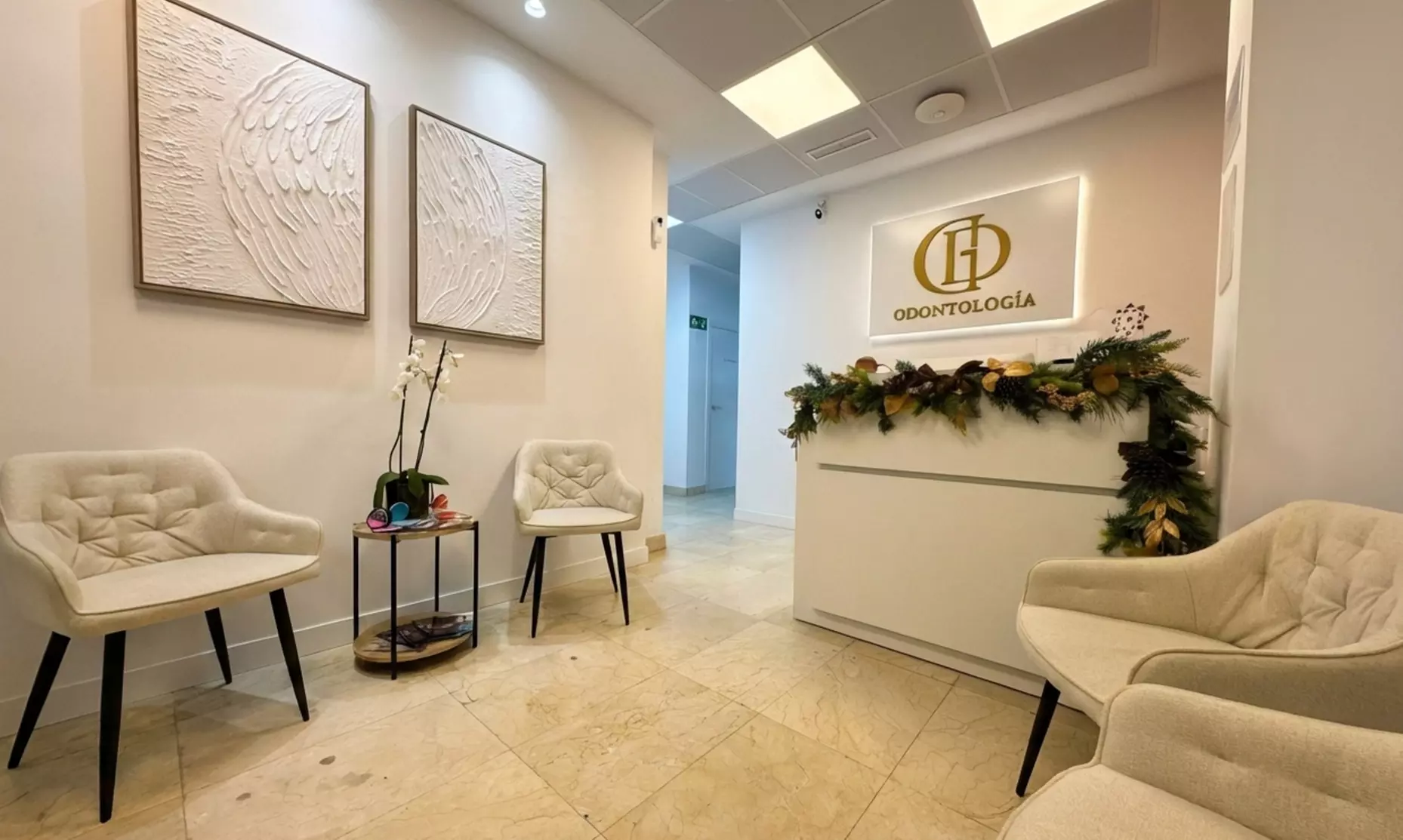 Limpieza bucal con revisión, radiografía y opción a aeropulidor para 1