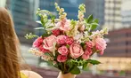 Get Proflowers Fresh Floral Arrangements & Gift Delivery Deals - Save 60%