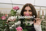 Rosaholics Deal: Up to 57% Off Premium Roses & Exotic Flowers