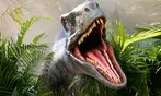 Universal Orlando Ticket Deals - Save Big on 4 Parks!