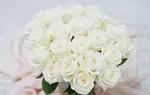 24 or 36ct Roses Long Stem Rose Bouquet | Farm Fresh (Up to 74% Off)