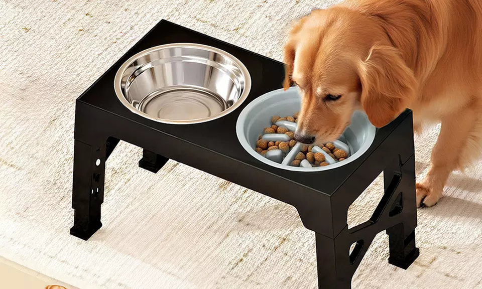 Skylos Smart Pet Feeding Solutions