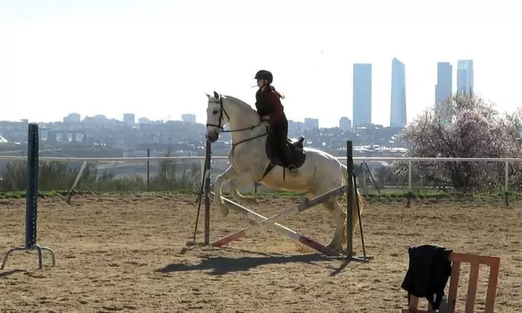 Paseo a caballo con todo el material incluido para 1 o 2 personas