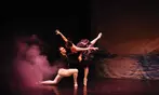 „Swan Lake – Beyond the Stage“: Ticket vom 06.03. bis 15.10.2026