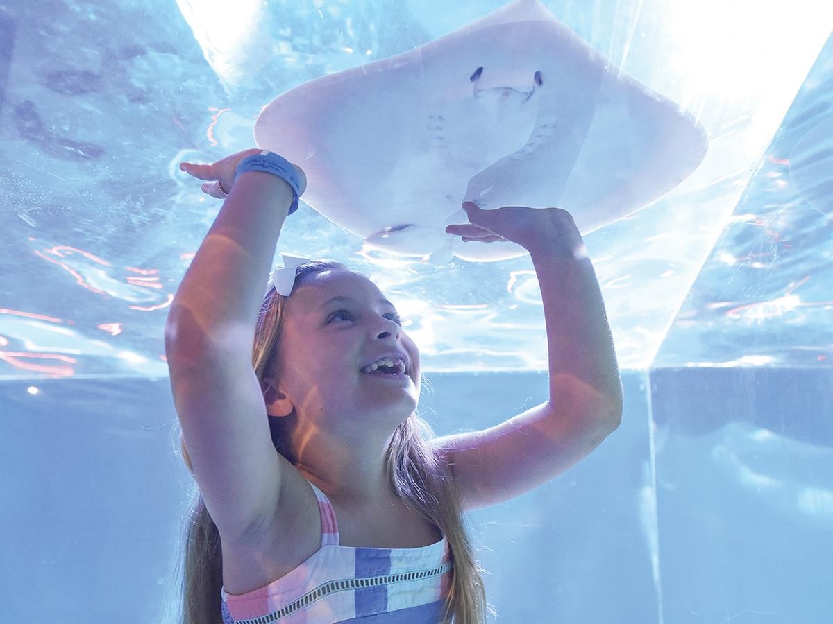 Passes to One World Interactive Aquarium in Las Vegas, NV