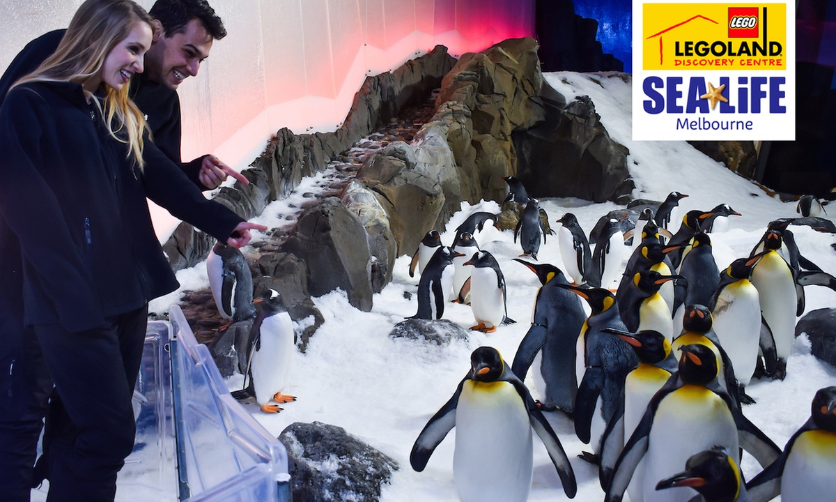 Melbourne Big Ticket: Multi- Attraction Pass for Adults & Kids