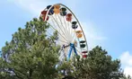 FLASH SALE! Frontier City Single Day Tickets – 53% Off