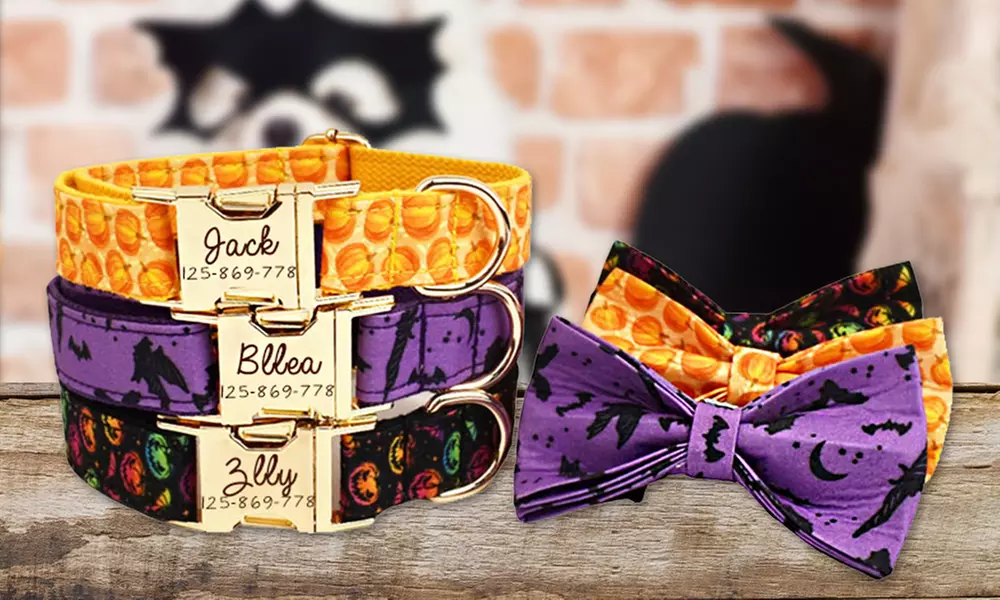 Personalisierbares Haustier-Halsband im Halloween-Design