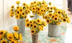 Next Day Delivery Fresh Flowers & Gifts from 1-800-Flowers.com (up to 50% off)