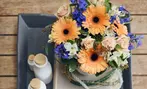 Next Day Delivery Fresh Flowers & Gifts from 1-800-Flowers.com (up to 50% off)