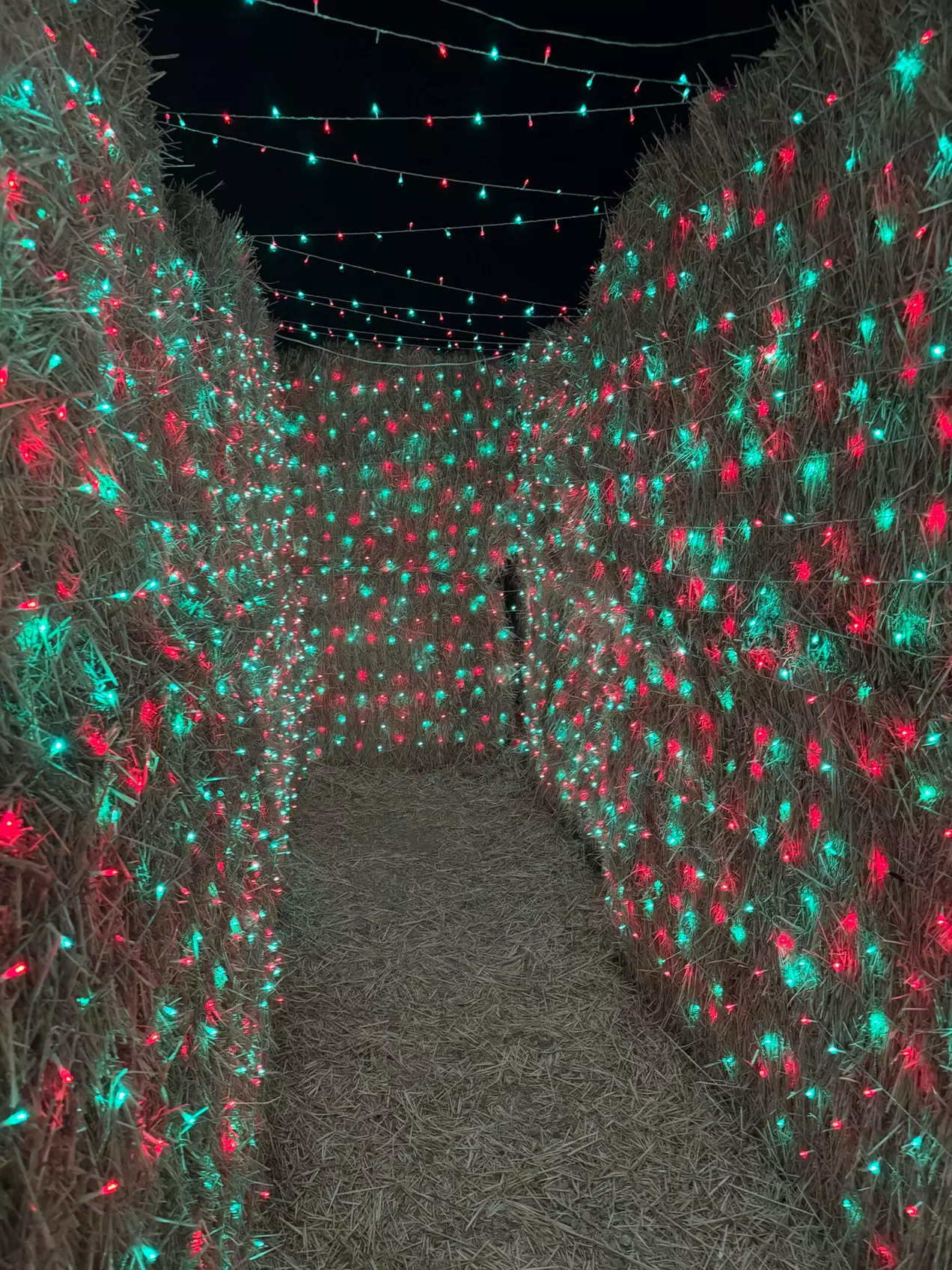 Lost in Christmas Admission to Shindig Farms