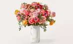 Get Proflowers Fresh Floral Arrangements & Gift Delivery Deals - Save 60%
