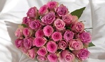 Bouquet Fiesta de roses colorées: un message d'amour et de tendresse
