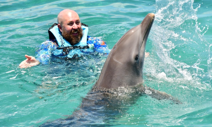 Up to 42% Off Dolphin Experiences at Dolphin Discovery