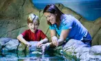 SPECIAL OFFER! SEA LIFE Charlotte Admission