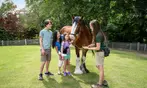 FLASH SALE! Up to 57% Off Busch Gardens Williamsburg Tickets