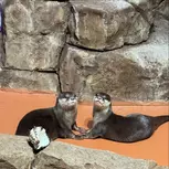 Passes to One World Interactive Aquarium in Las Vegas, NV