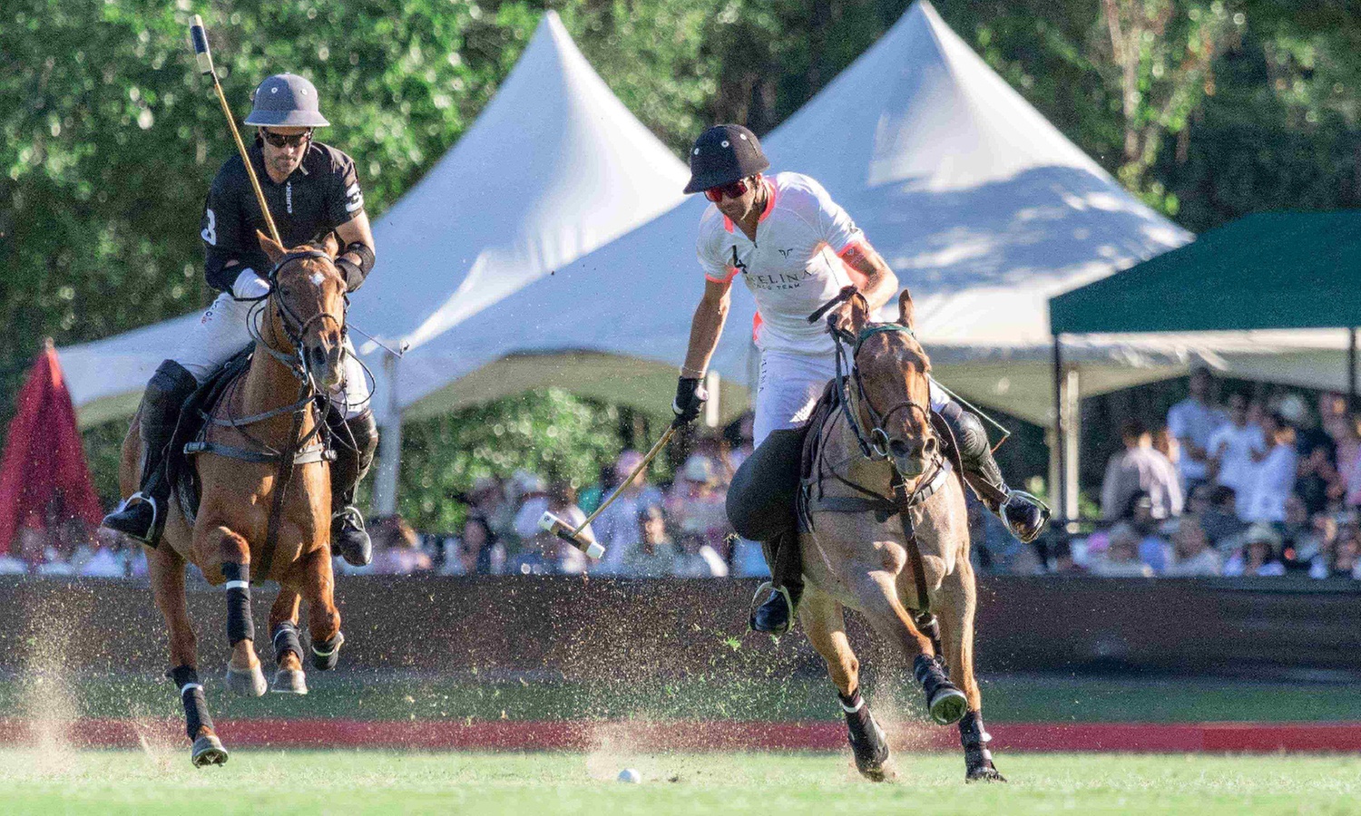 Houston Polo Club: Tickets for Two | Oct 26, Nov 2, Nov 16