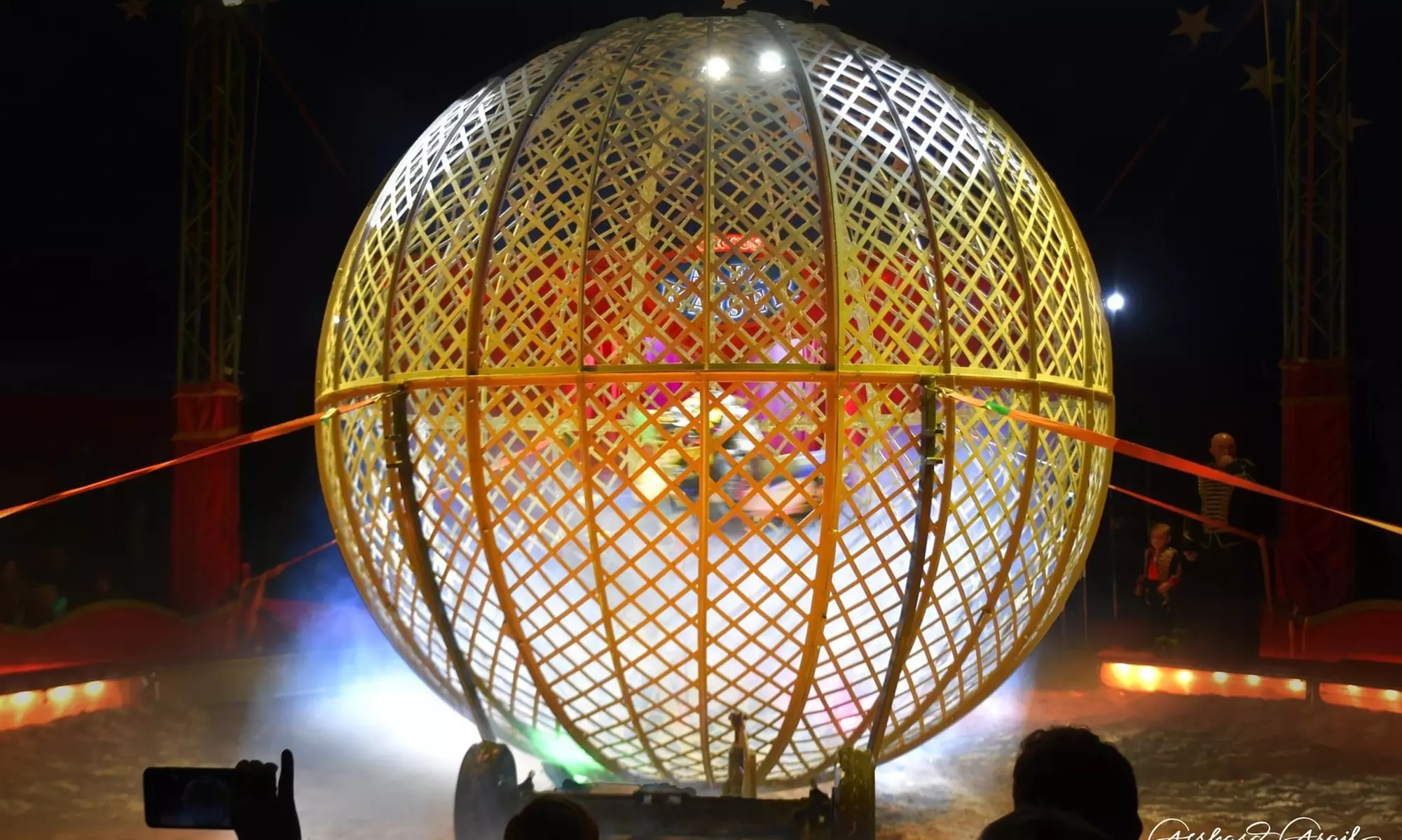 1 Ticket für den Ludwigshafener Weihnachtscircus vom 22.12. bis 03.01.