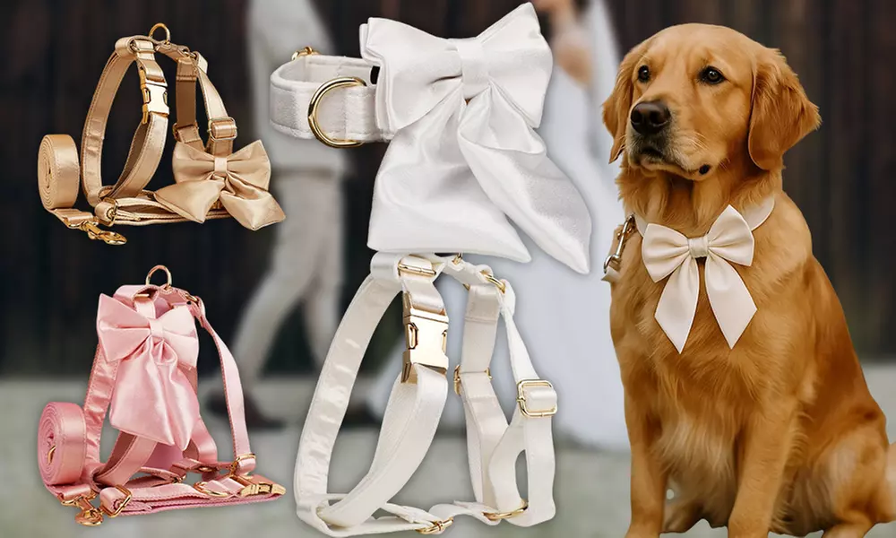 Personalisierbares Haustier-Halsband mit integriertem Namensschild