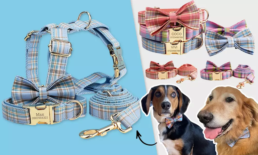 Personalisierbares Haustier-Halsband mit integriertem Namensschild