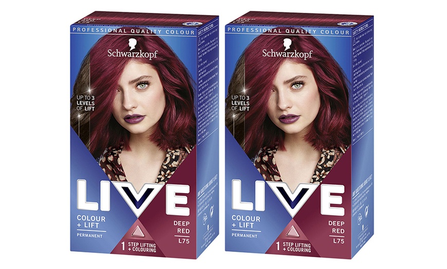 Schwarzkopf Live 2 In 1 Lightener Twist Permanent Colour Hair Dye Groupon