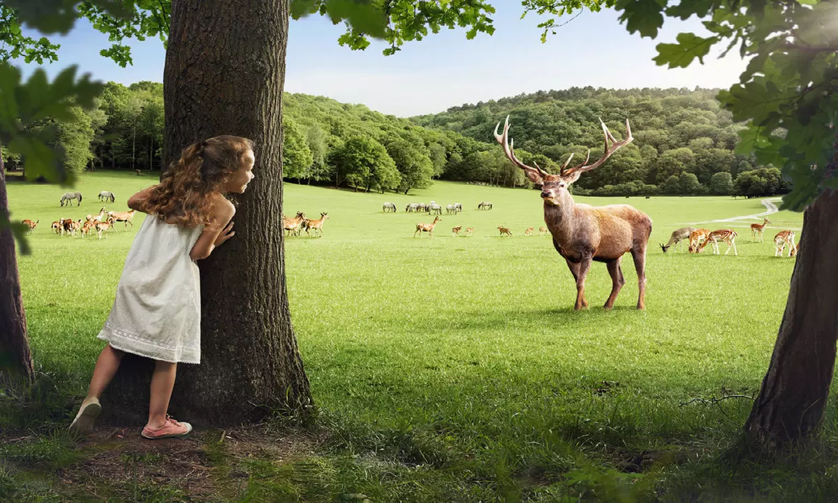 Entdeckungsreise ins Innere der Grotten von Han und ihres Tierparks