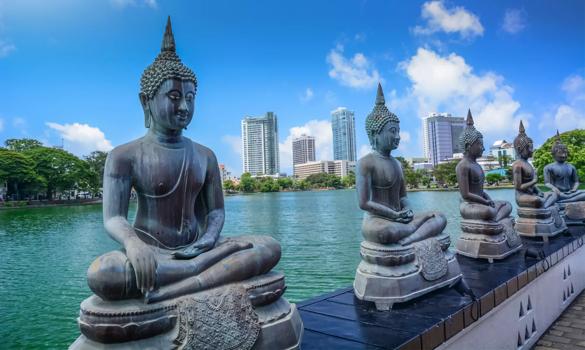 Discover Sri Lanka: 11-Day Private Tour with a Guide, Scenic Transfers