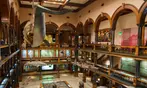 Tickets to Hawaiian Heritage Bishop Museum for Youths or Adults