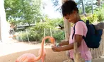 San Antonio Zoo Discount Tickets & Savings!