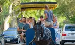 Discover Charleston's Rich History with Carolina Polo's Exclusive Tour