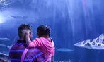 Aquarium of the Bay Ticket Deals & Discounts